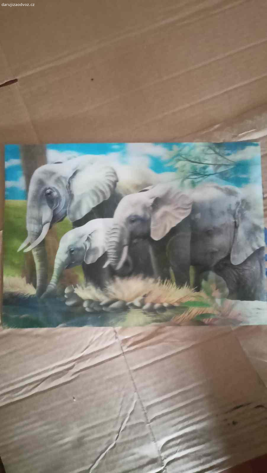 3D 0brazek. Orel a sloni. Vyzvednutí Letná