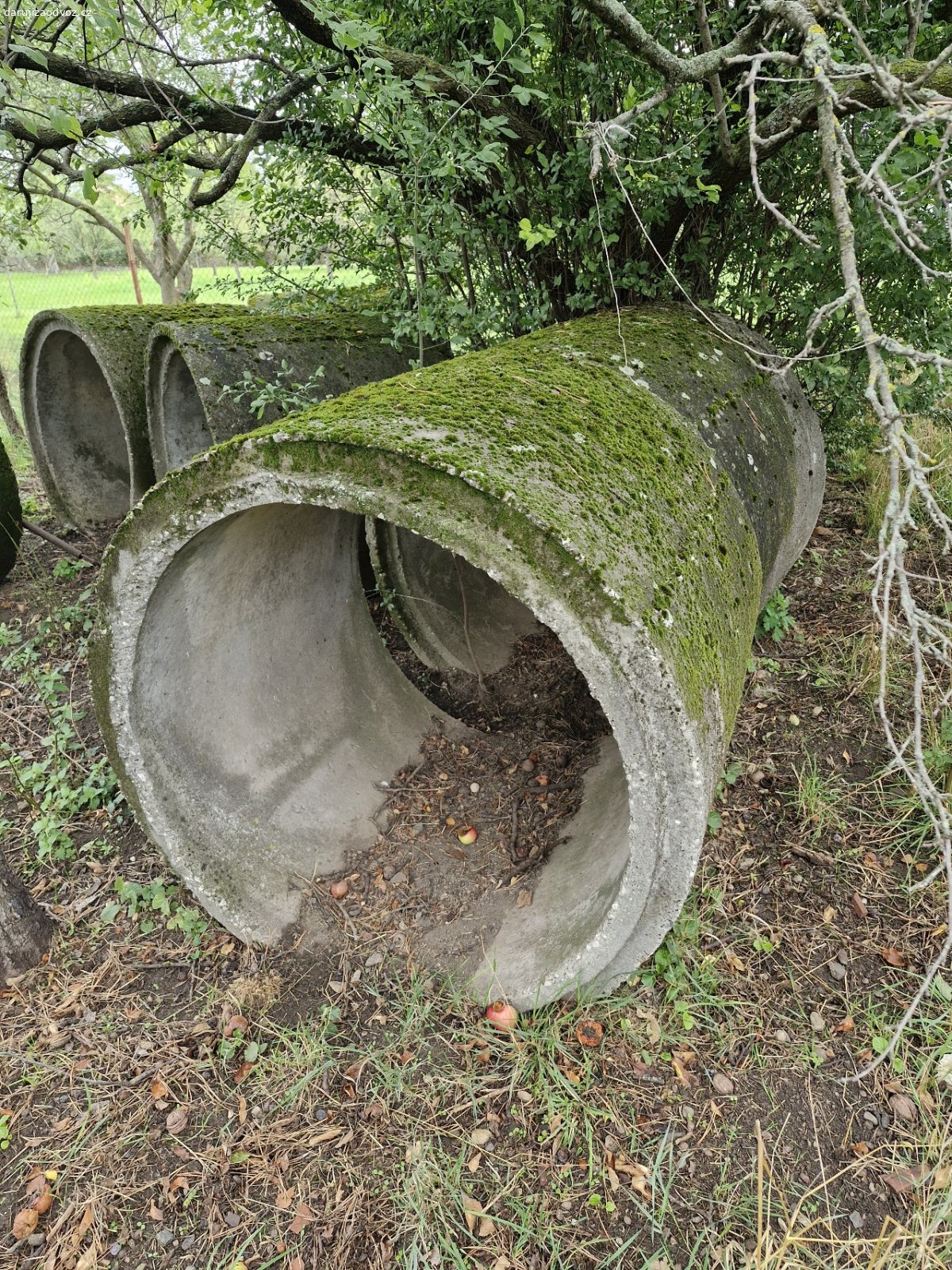 betonové roury do studny. Daruji 10 kusů betonových rour používaných do studny. Nyní několik let nevyužitých. Stav dle fotografií, rozměry 100x100 cm.