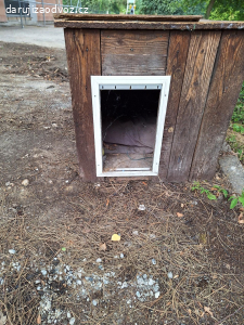 bouda pro velkého psa