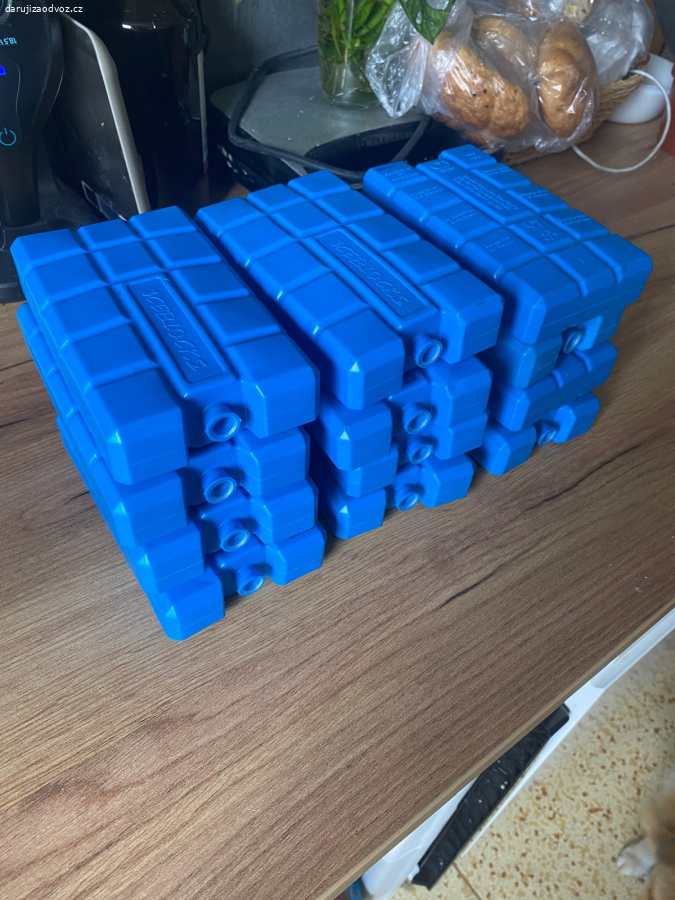 Daruji 12ks Iceblocks