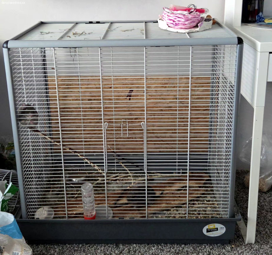 Daruji 2 Osmaky degu s kleci