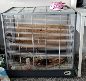 Daruji 2 Osmaky degu s kleci