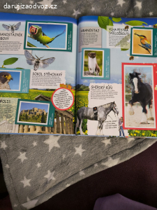 daruji 3 sběratelská alba