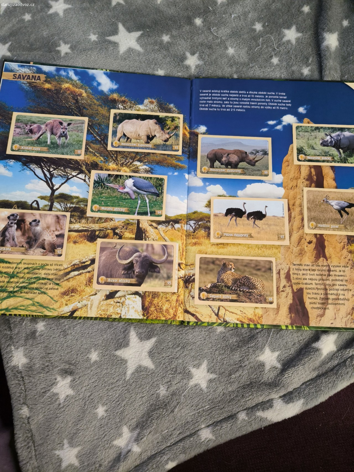 daruji 3 sběratelská alba. jedno je s kartičkami a dvě se samolepkami, všechny by měly být kompletní
