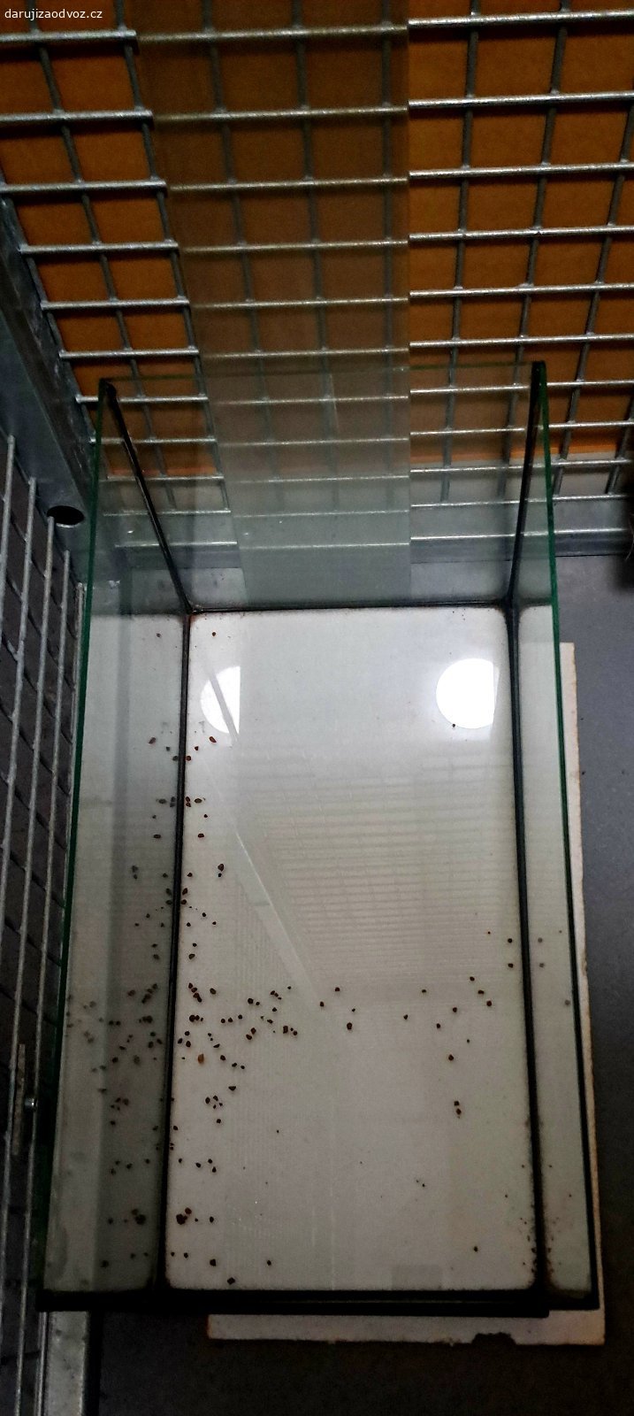 Daruji akvarium 60x30x30 vč. příslušenství. Akvarium cca 54 l / 60 x 30 x 30 cm  (délka x šířka x výška) vč. příslušenství (viz foto)