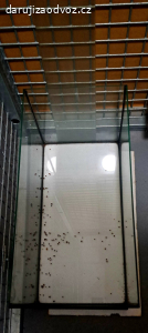 Daruji akvarium 60x30x30 vč. příslušenství