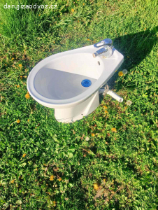 Daruji bidet