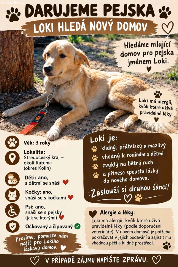 Darují jménem Loki