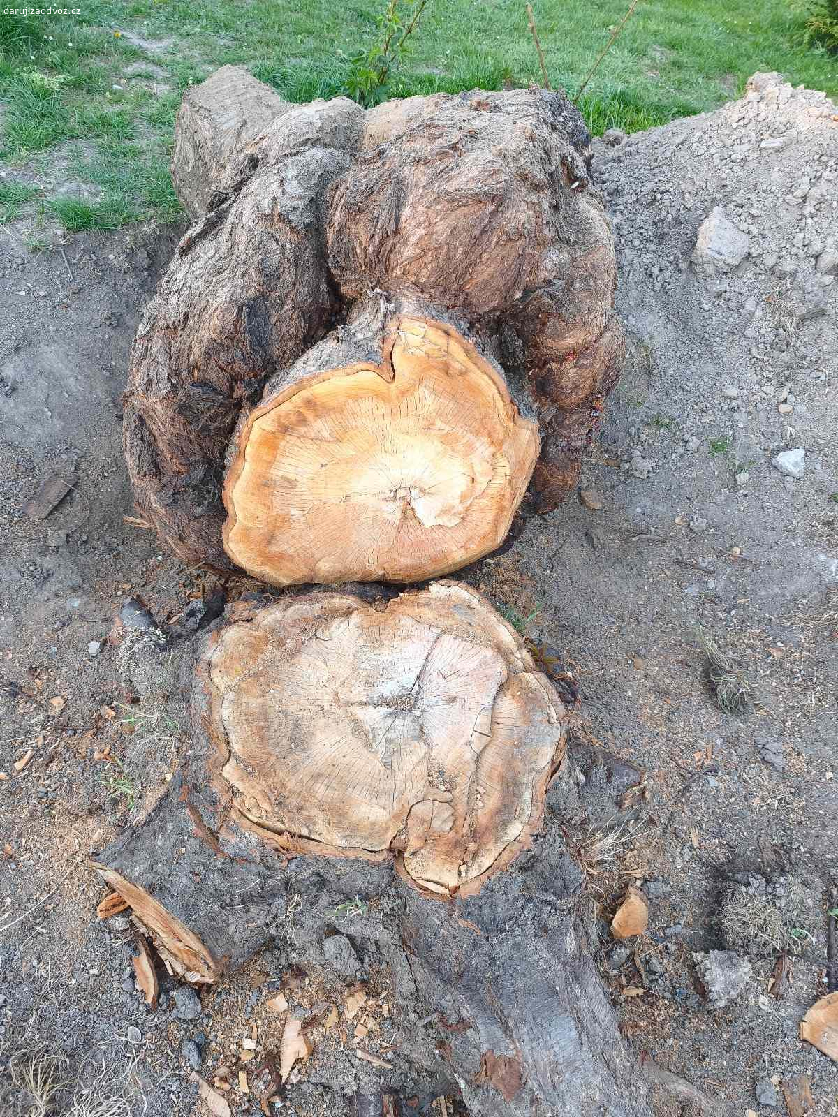 Daruji kmen třešně. Dobrý den, daruji kmen třešně. Vzhledem na velikost, upozorňuji, že je potřeba kmen na místě nařezat na menší části. Rozměr cca 120*70cm.