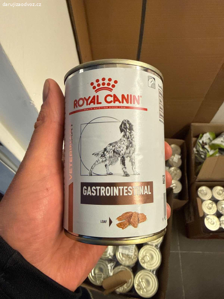 Daruji konzervy Royal Canin pro psy