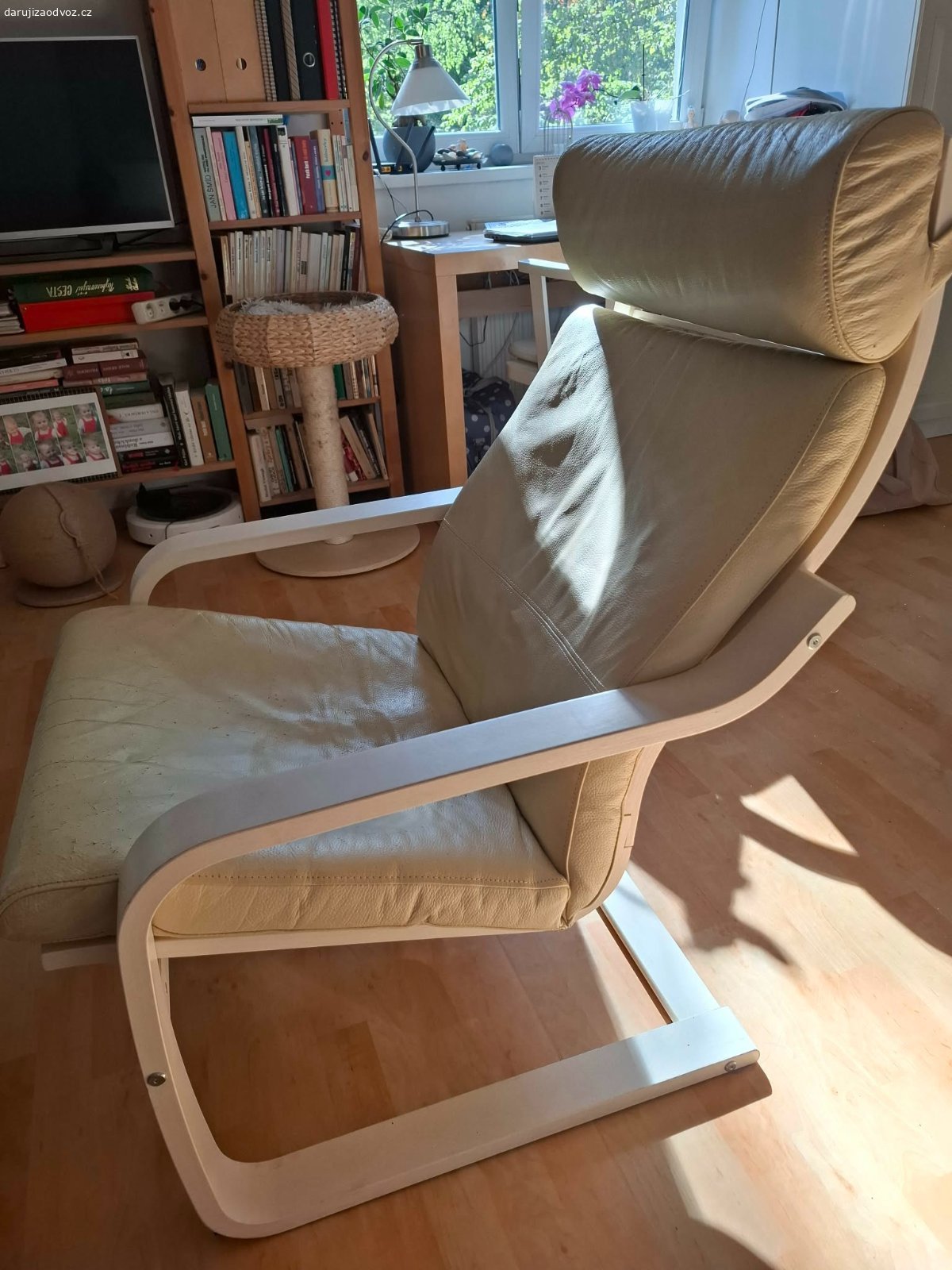 Daruji křeslo POANG (IKEA). Křeslo bílý rám, potah bílá koženka- poškrábaná od kočky.