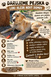 Darují Loki