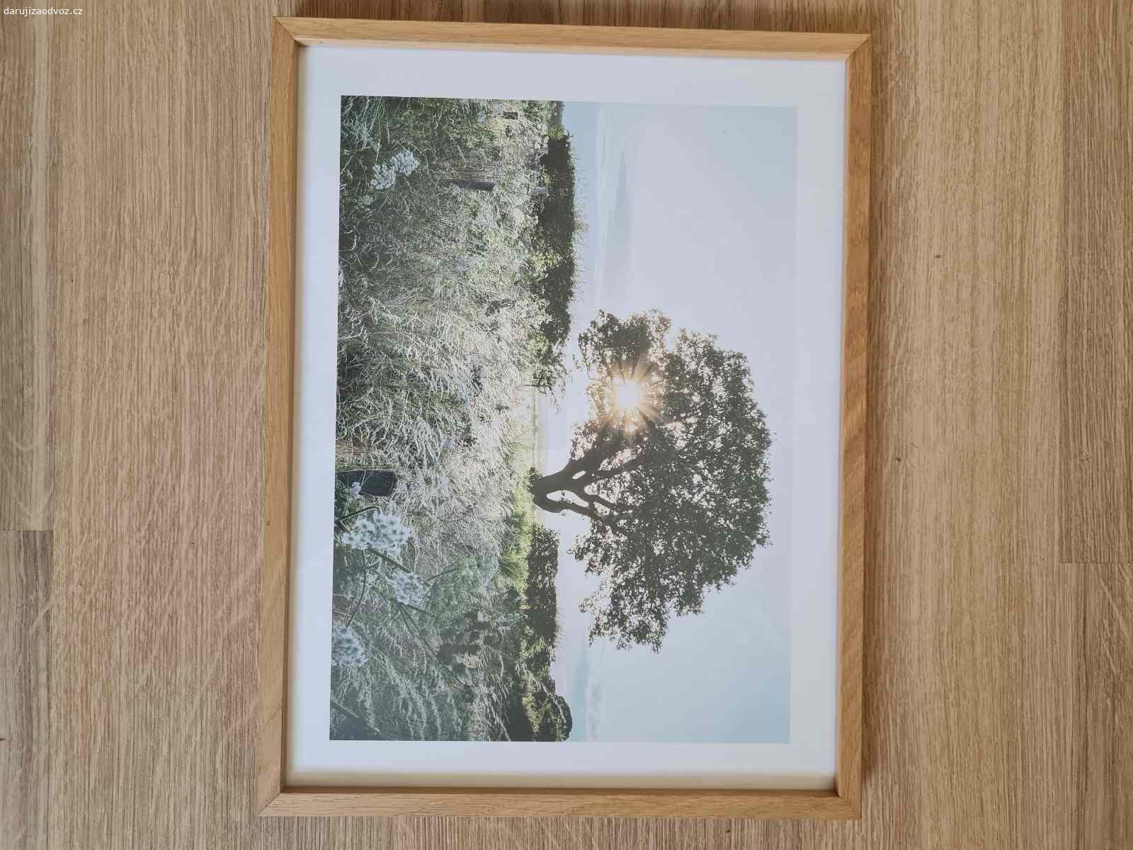 Daruji obrazy. Daruji za osvoz nové obrazy z PosterStore včetně dřevěného rámečku, ideálně všechny :).