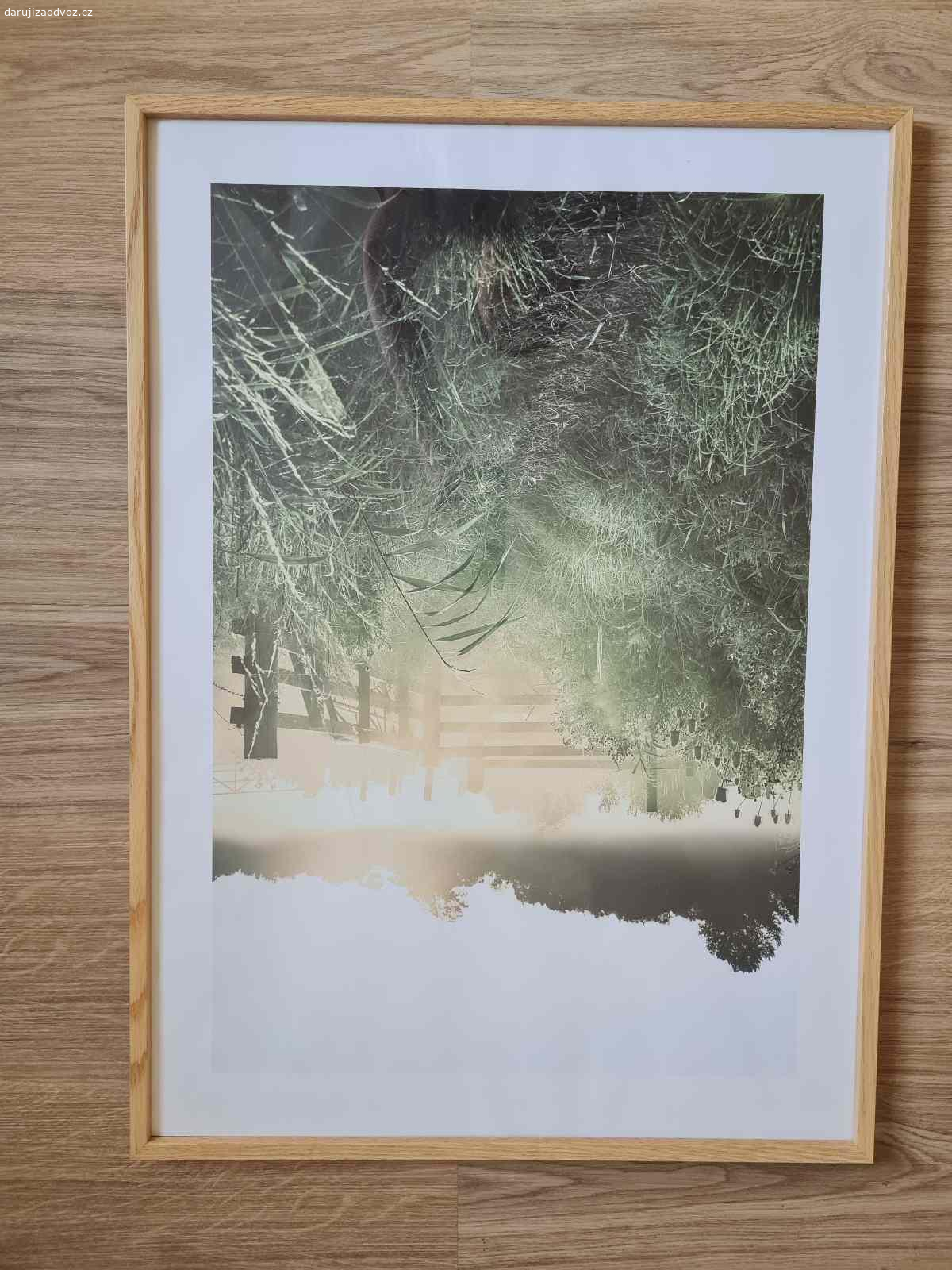 Daruji obrazy. Daruji za osvoz nové obrazy z PosterStore včetně dřevěného rámečku, ideálně všechny :).