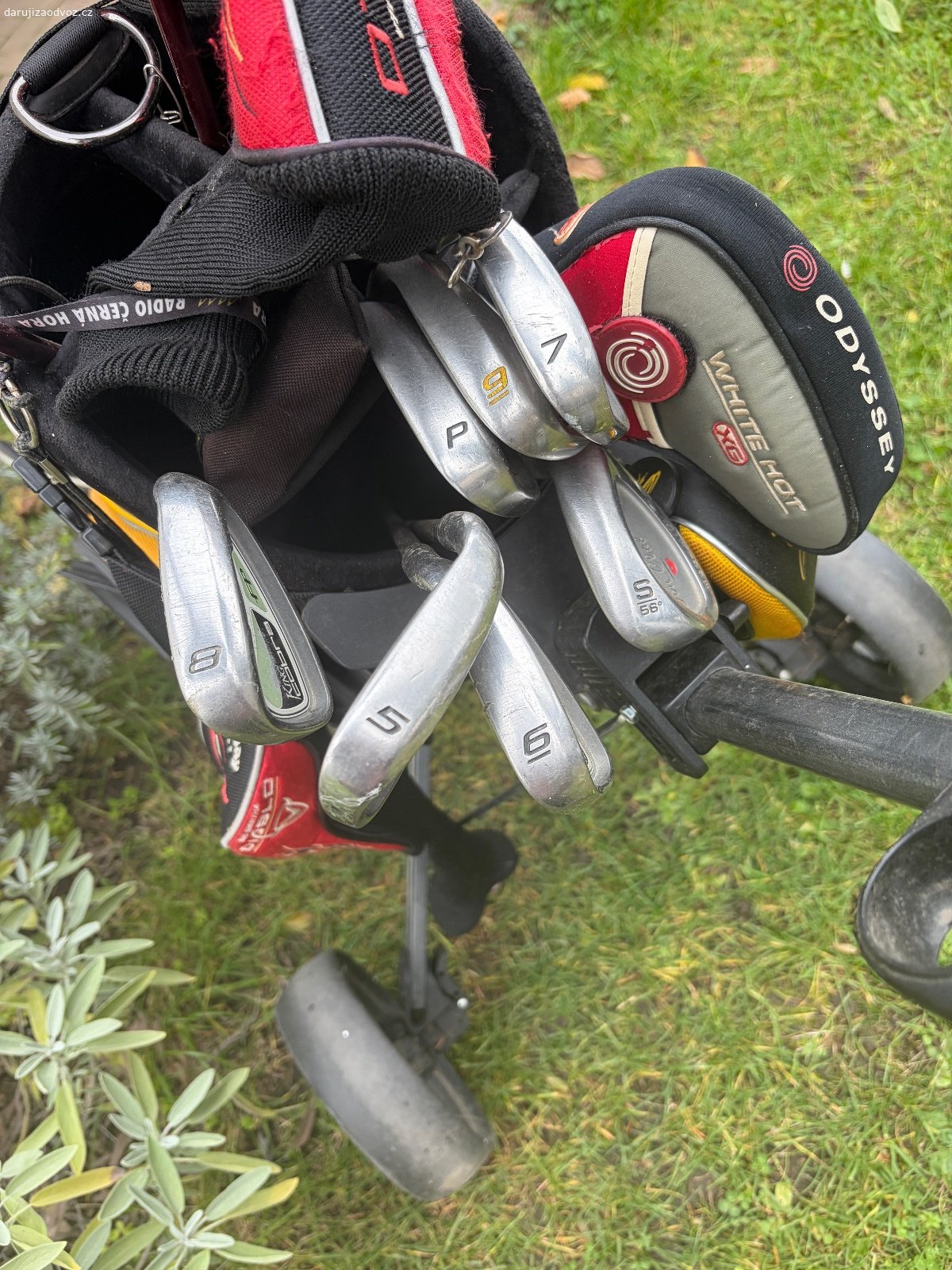 Rezervováno Daruji pánský golfový set. Jde o starší hole, na oceli, používané asi deset let, nyní už jedenáctým rokem leží. Značka Cobra.