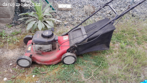 Daruji starší benzinovou sekačku