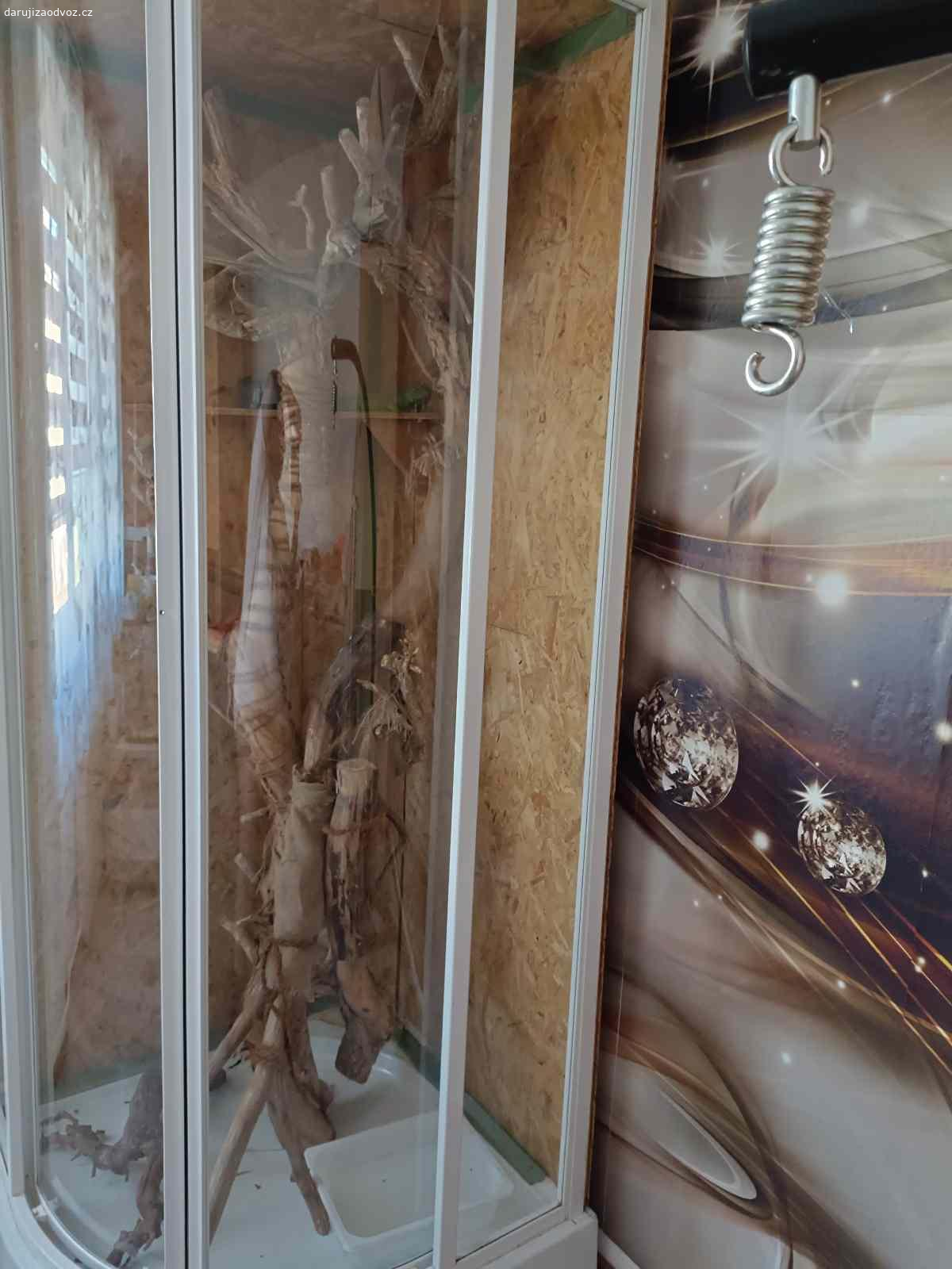 Daruji terárium na leguána. Daruji kompletní terárium pro leguána dělané ze sprchového koutu a osb desek.