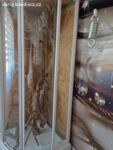 Daruji terárium na leguána