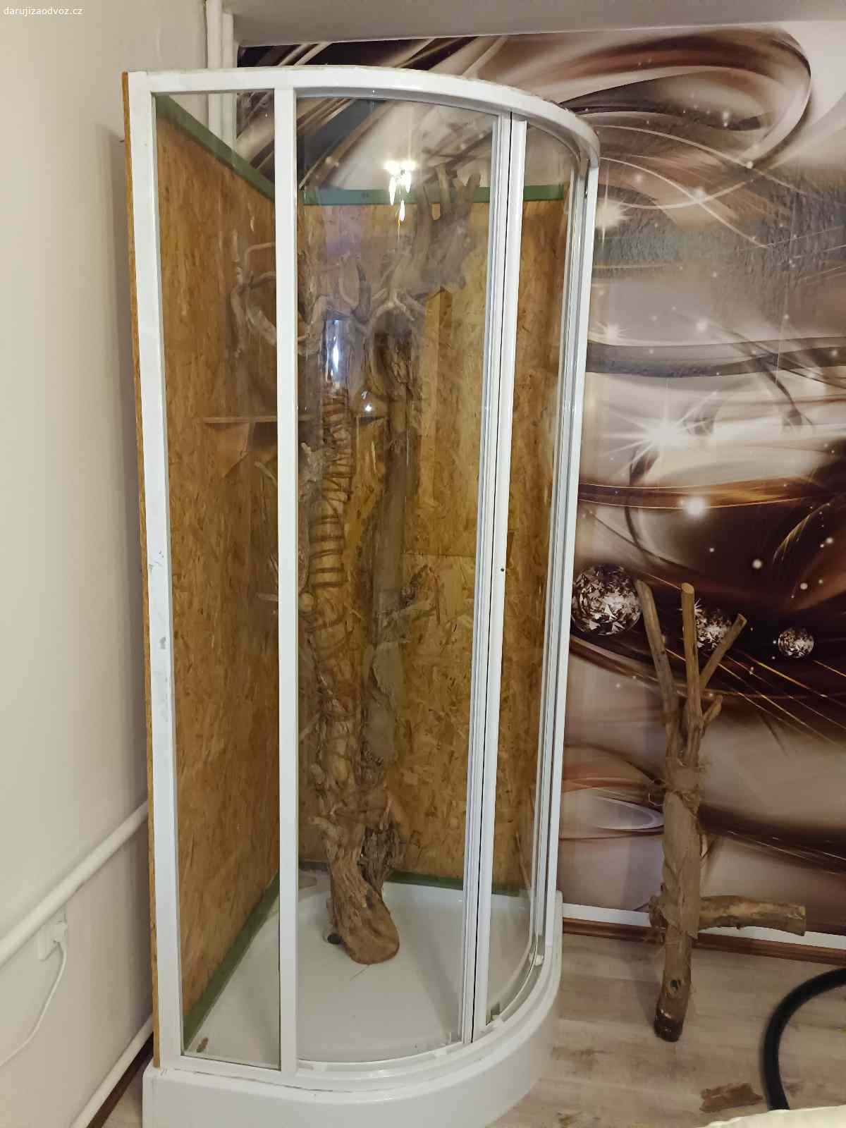 Daruji terárium na leguána. Daruji kompletní terárium pro leguána dělané ze sprchového koutu a osb desek.