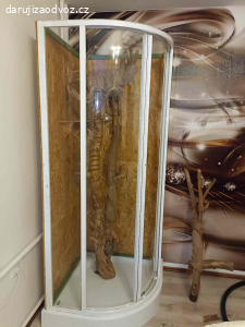 Daruji terárium na leguána