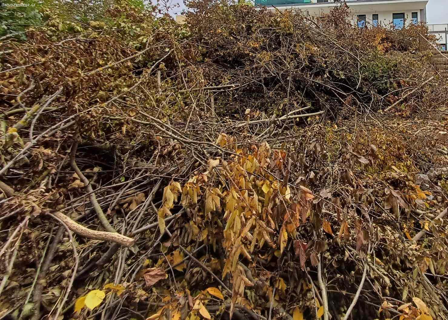 Daruji větve a klestí na štěpku / podpal. Daruji za odvoz větve a klestí po vykácení náletových listnatých dřevin – vhodné na štěpku / podpal. Větší množství (cca 7x7x2m hromada). Lokalita Praha 10. Možný i odvoz části.