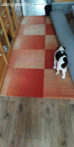 Daruji vlněný koberec