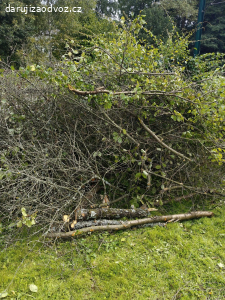 Daruji za odvoz dřevo na podpal.