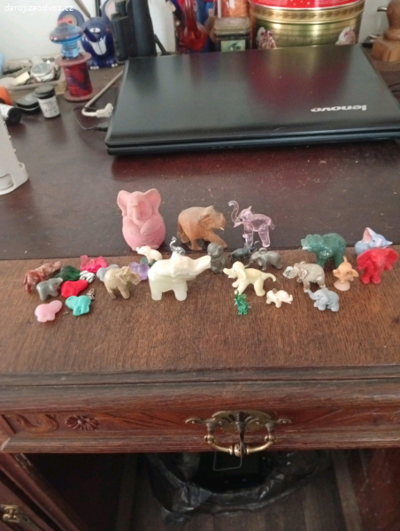 daruji za odvoz - několik slonů