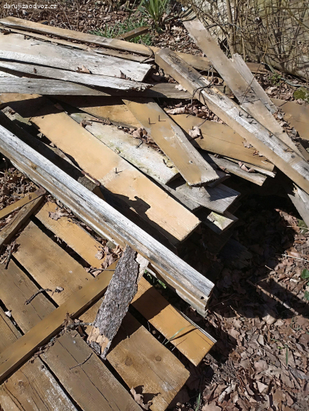 Dřevo na zátop