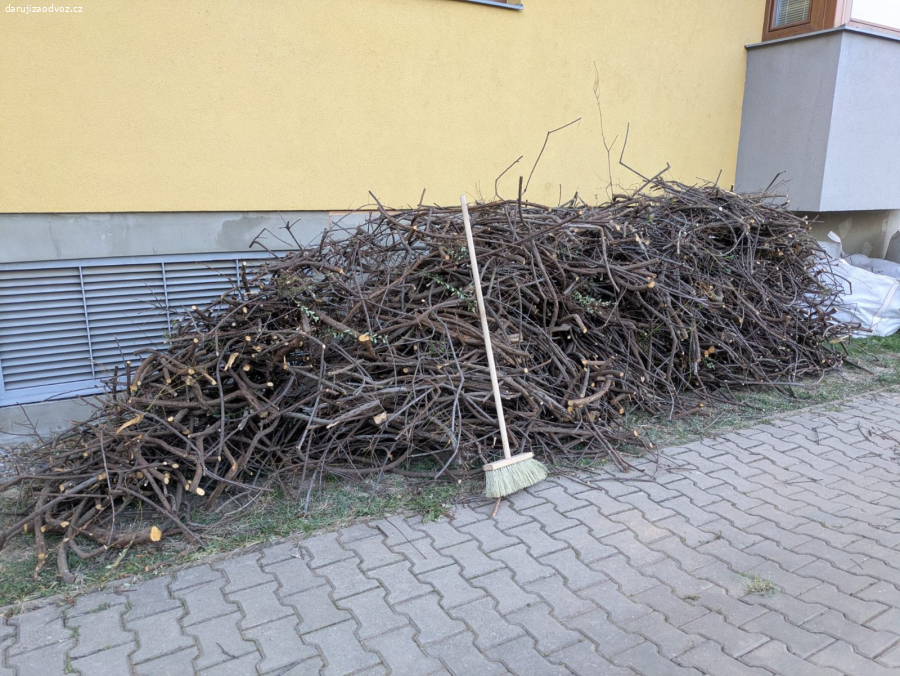 Dřevo z 20letého keře (skalník)