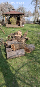 Dřevo ZDARMA za odvoz