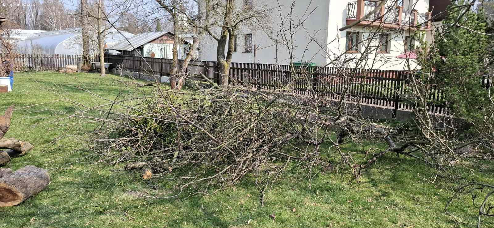Dřevo ZDARMA za odvoz. Daruji za odvoz dřevo - jabloň, javor