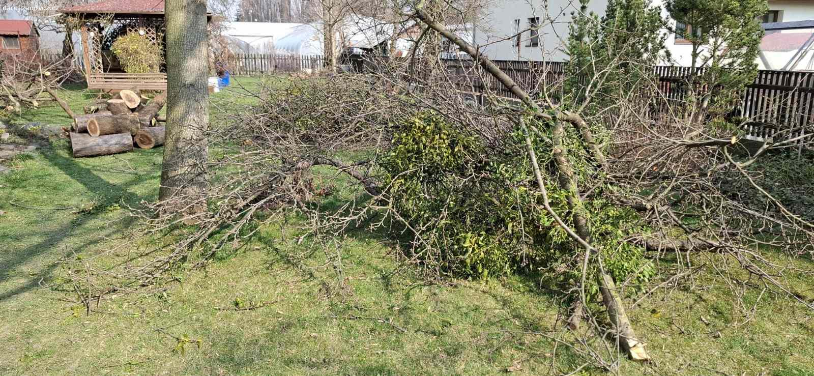 Dřevo ZDARMA za odvoz. Daruji za odvoz dřevo - jabloň, javor