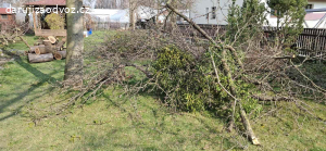 Dřevo ZDARMA za odvoz