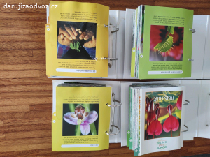 Encyklopedie Domov plný květin