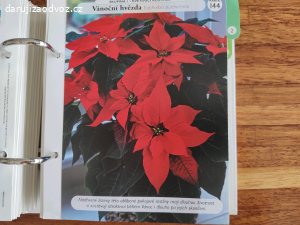 Encyklopedie Domov plný květin