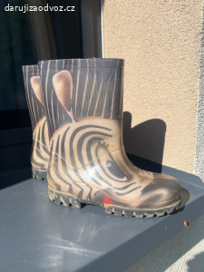 holinky zebra