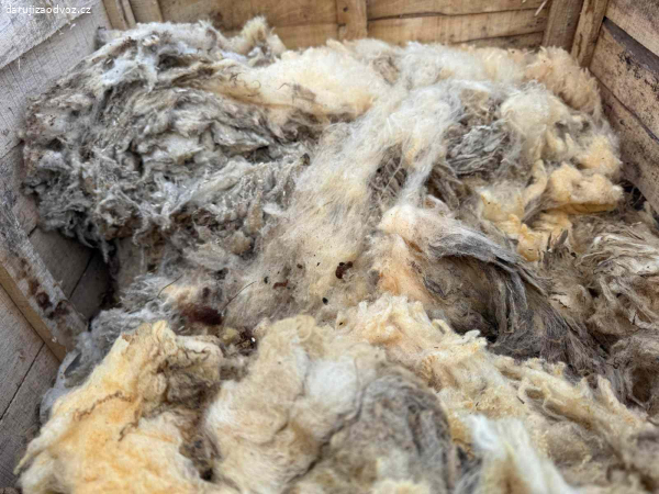 Izolacní Ovčí vlna.