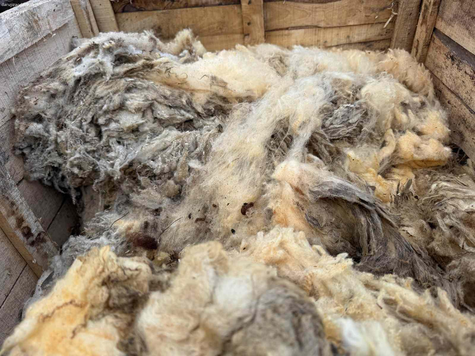 Izolacní Ovčí vlna.. 1m³ ovčí vlny na tepelnou izolaci.
Případný zájem prosím SMS