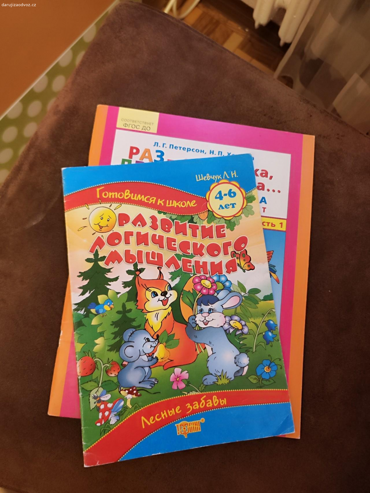 Knihy. Dětské knihy v ruštině s úkoly pro děti 4 až 6 let.