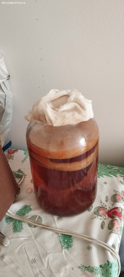 Kombucha za odvoz