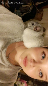 králíček a činčilí kluk