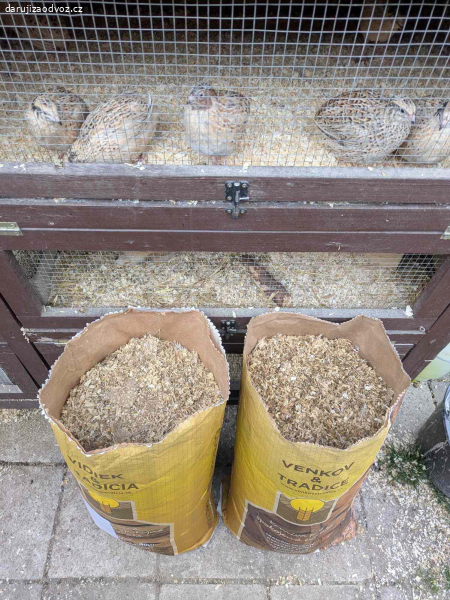 Křepelčí hnůj za odvoz