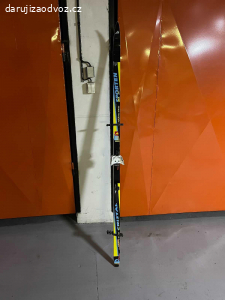 Daruji lyže a bezky