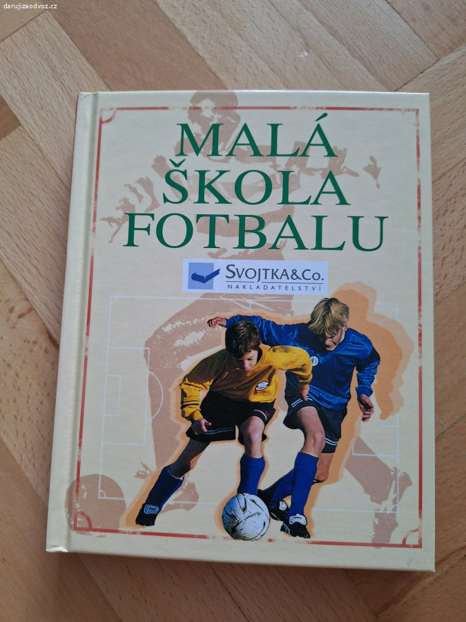 Malá škola fotbalu