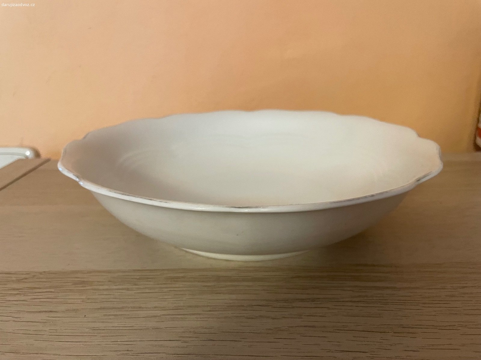 Porcelánová mísa - průměr cca 24 cm. Daruji porcelánovou mísu, průměr cca 24 cm. Bez vad. K vyzvednutí po předchozí domluvě na Praze 4. Lze zaslat i Zásilkovnou při platbě předem. Daruji další věci za ODVOZ viz. inzeráty!
