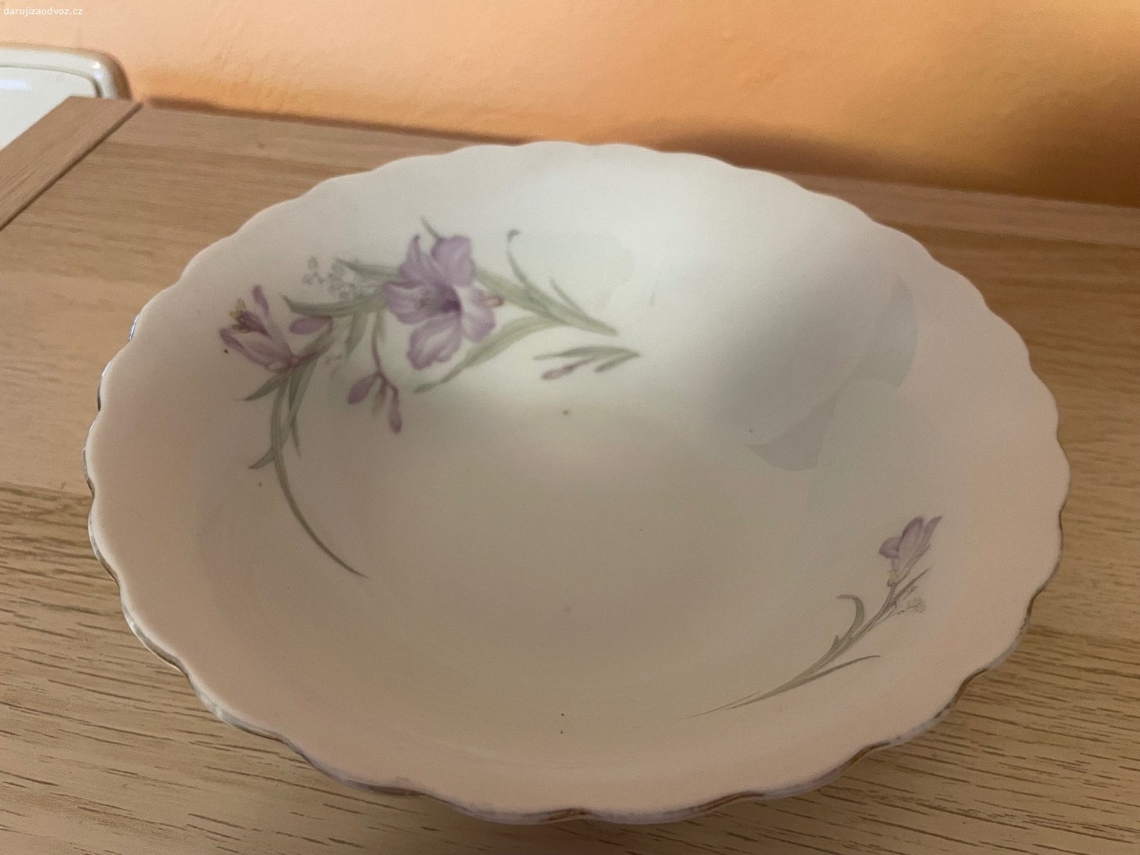 Porcelánová mísa - průměr cca 20 cm. Daruji porcelánovou mísu, průměr cca 20 cm. Bez vad. Dekorace květiny, zlatý okraj. K vyzvednutí po předchozí domluvě na Praze 4. Daruji další věci za ODVOZ viz. inzeráty!