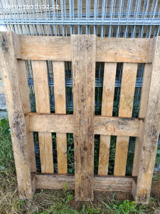 paleta