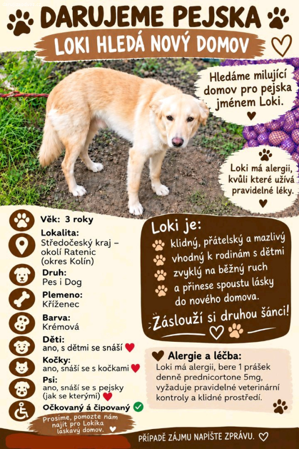 Pes i Dog kříženec