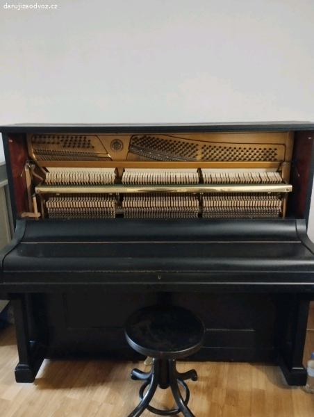Piano Hofmann and Czerny